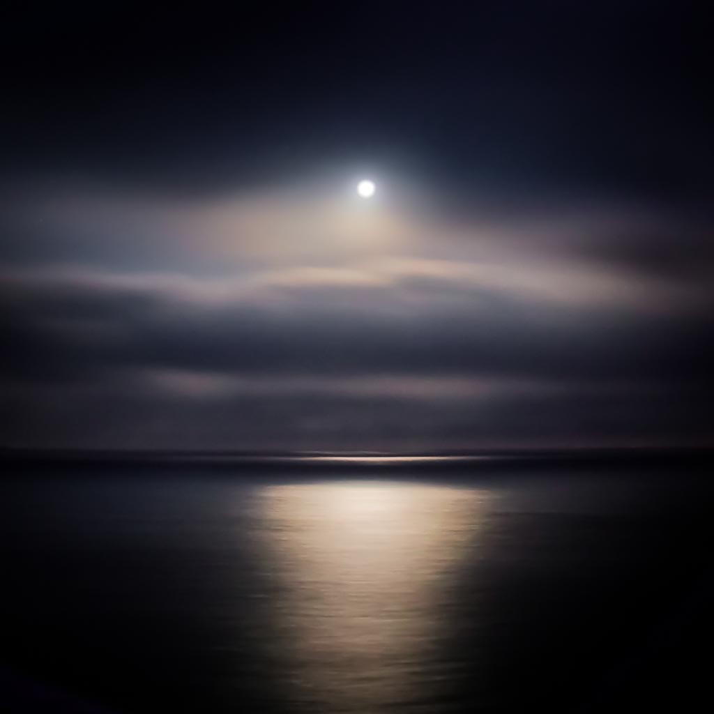 MoonLight Cruise